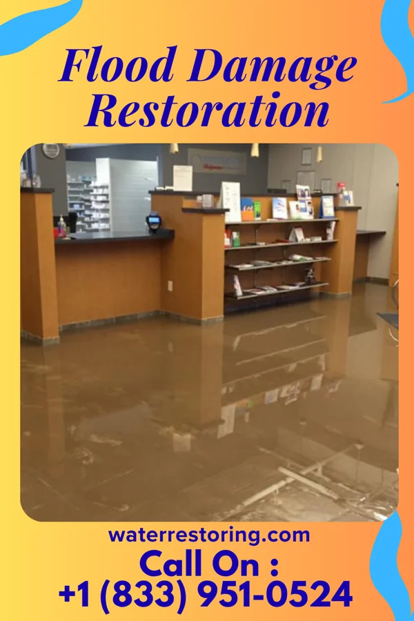 Flood Damage Restoration in Medora, IN