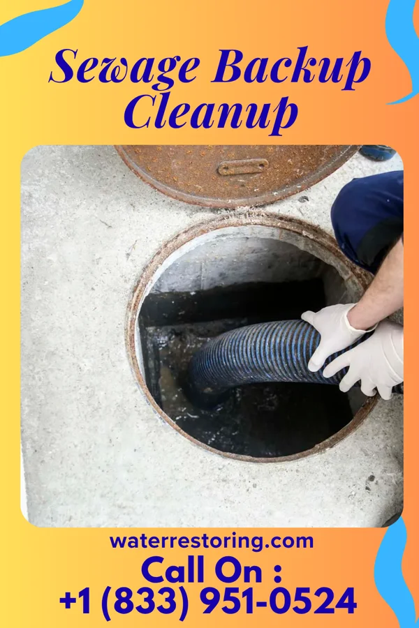 Sewage Backup Cleanup in Medora, IN